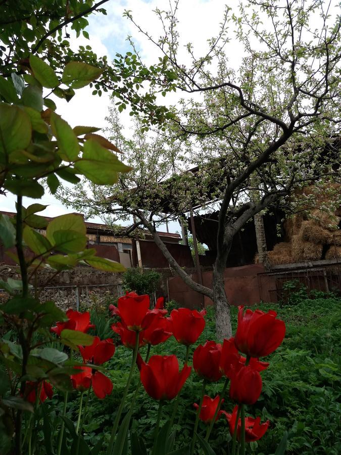Aida Bed & Breakfast Tat'ev Buitenkant foto