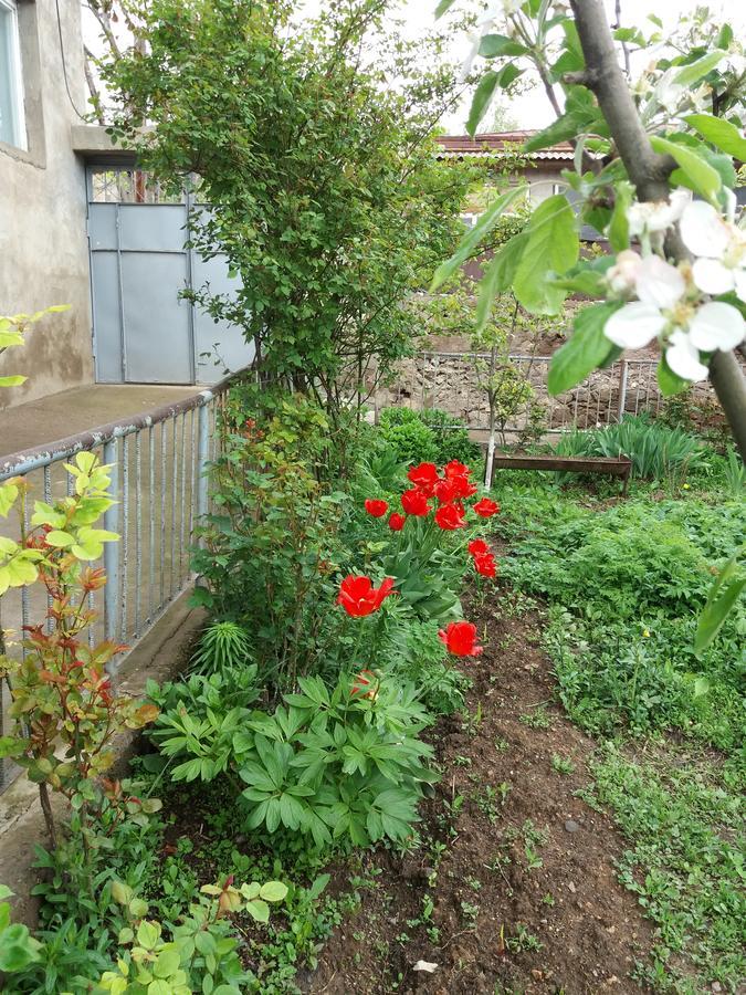 Aida Bed & Breakfast Tat'ev Buitenkant foto